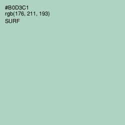 #B0D3C1 - Surf Color Image