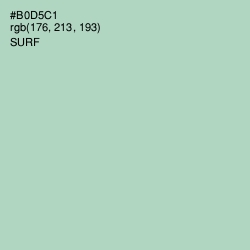 #B0D5C1 - Surf Color Image