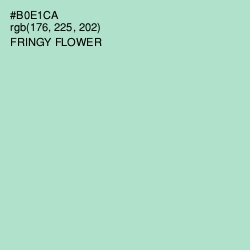 #B0E1CA - Fringy Flower Color Image