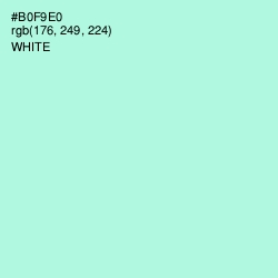 #B0F9E0 - Ice Cold Color Image