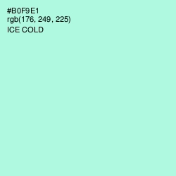 #B0F9E1 - Ice Cold Color Image
