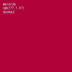 #B10139 - Shiraz Color Image