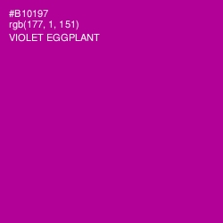 #B10197 - Violet Eggplant Color Image