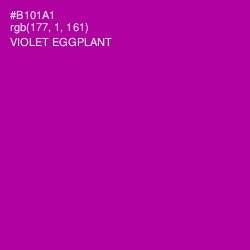 #B101A1 - Violet Eggplant Color Image