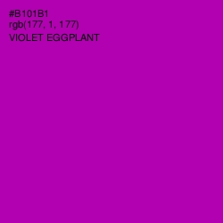 #B101B1 - Violet Eggplant Color Image