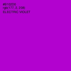 #B102D0 - Electric Violet Color Image