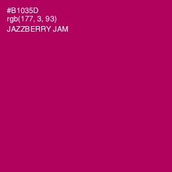 #B1035D - Jazzberry Jam Color Image