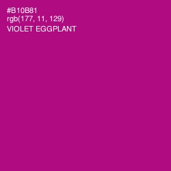 #B10B81 - Violet Eggplant Color Image