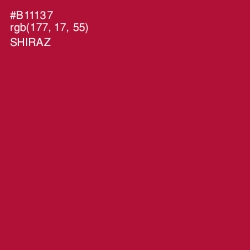 #B11137 - Shiraz Color Image