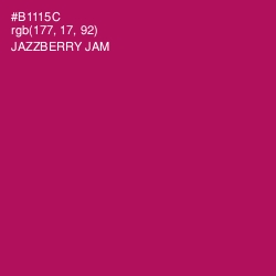 #B1115C - Jazzberry Jam Color Image
