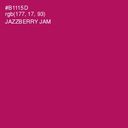 #B1115D - Jazzberry Jam Color Image