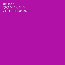 #B111A7 - Violet Eggplant Color Image