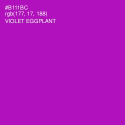 #B111BC - Violet Eggplant Color Image