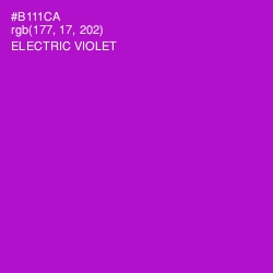 #B111CA - Electric Violet Color Image