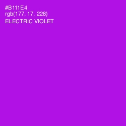 #B111E4 - Electric Violet Color Image