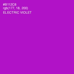 #B112C8 - Electric Violet Color Image