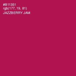 #B11351 - Jazzberry Jam Color Image