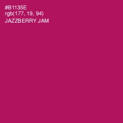 #B1135E - Jazzberry Jam Color Image