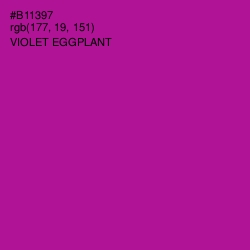 #B11397 - Violet Eggplant Color Image