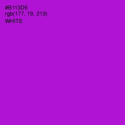 #B113D5 - Electric Violet Color Image