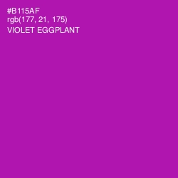 #B115AF - Violet Eggplant Color Image