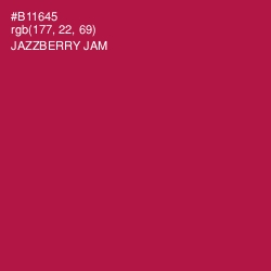 #B11645 - Jazzberry Jam Color Image