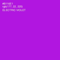 #B116E1 - Electric Violet Color Image