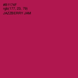 #B1174F - Jazzberry Jam Color Image