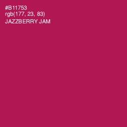 #B11753 - Jazzberry Jam Color Image