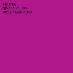 #B1178A - Violet Eggplant Color Image