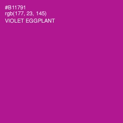 #B11791 - Violet Eggplant Color Image