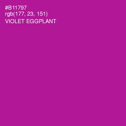 #B11797 - Violet Eggplant Color Image