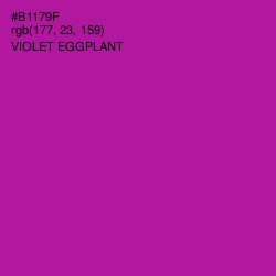 #B1179F - Violet Eggplant Color Image