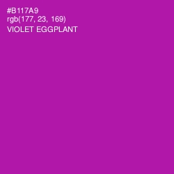 #B117A9 - Violet Eggplant Color Image