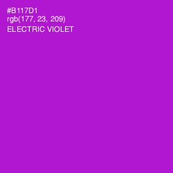 #B117D1 - Electric Violet Color Image