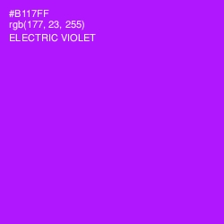 #B117FF - Electric Violet Color Image