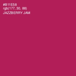 #B11E58 - Jazzberry Jam Color Image