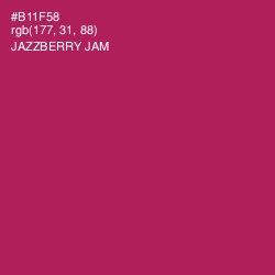 #B11F58 - Jazzberry Jam Color Image