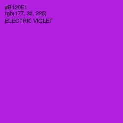 #B120E1 - Electric Violet Color Image