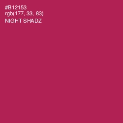 #B12153 - Night Shadz Color Image