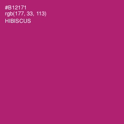 #B12171 - Hibiscus Color Image