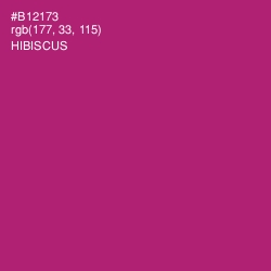 #B12173 - Hibiscus Color Image