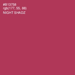 #B13758 - Night Shadz Color Image