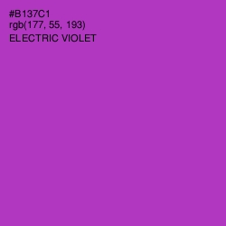 #B137C1 - Electric Violet Color Image