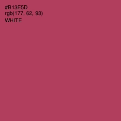#B13E5D - Night Shadz Color Image