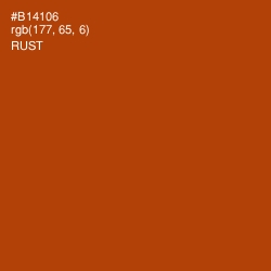 #B14106 - Rust Color Image