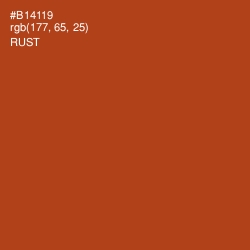 #B14119 - Rust Color Image