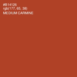 #B14126 - Medium Carmine Color Image