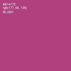 #B1417E - Blush Color Image