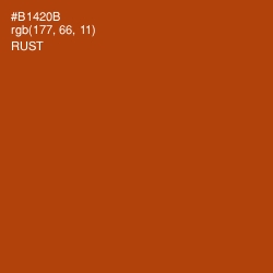 #B1420B - Rust Color Image